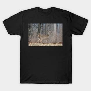 Deer T-Shirt